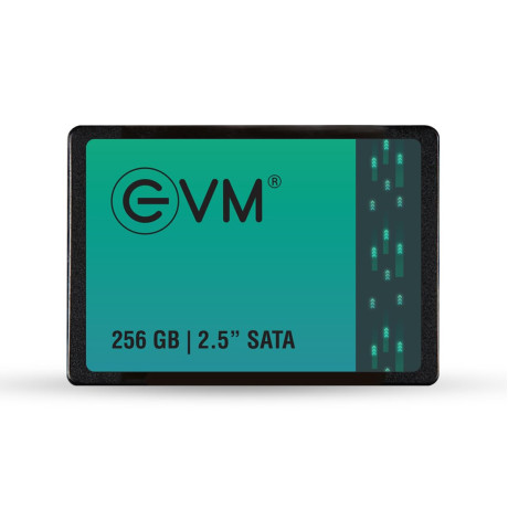 EVM 256GB 2.5 Inch SATA Internal SSD