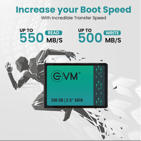 EVM 256GB 2.5 Inch SATA Internal SSD