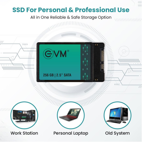 EVM 256GB 2.5 Inch SATA Internal SSD