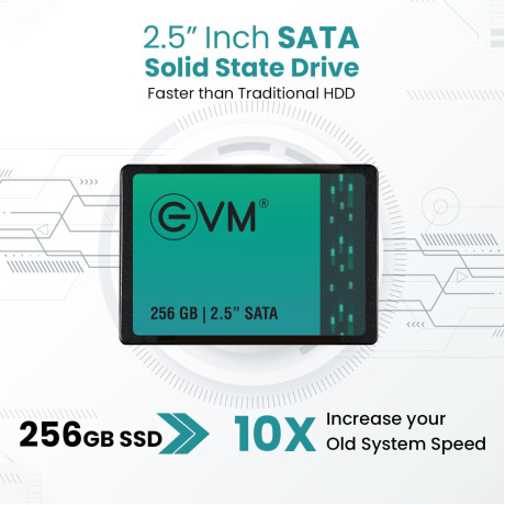 EVM 256GB 2.5 Inch SATA Internal SSD