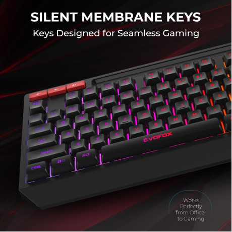 Amkette Evofox Deathray Tkl Rgb Gaming Keyboard