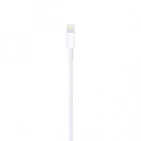 Apple 1 Metre USB-A  To Lightning Cable