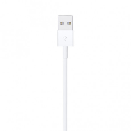 Apple 1 Metre USB-A  To Lightning Cable