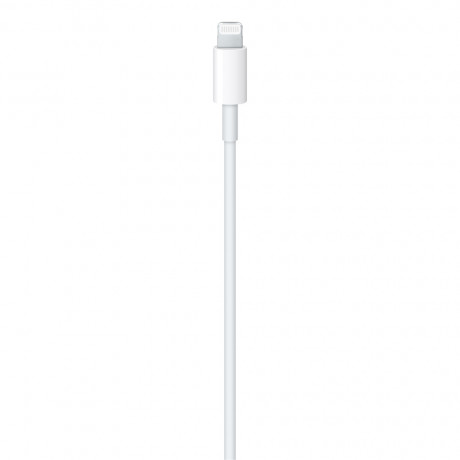 Apple 1 Metre USB-C to Lightning Cable