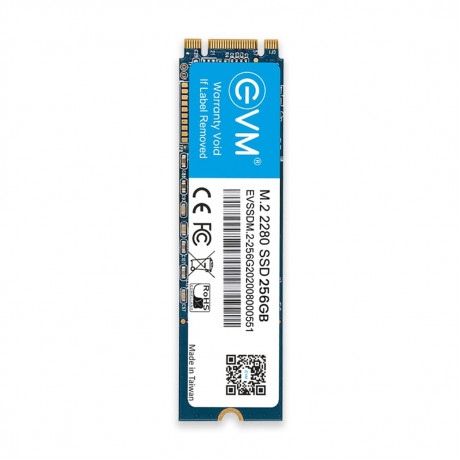 EVM 256GB M.2 SATA SSD