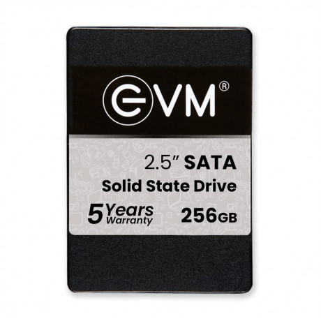 EVM 256GB 2." inch SATA SSD