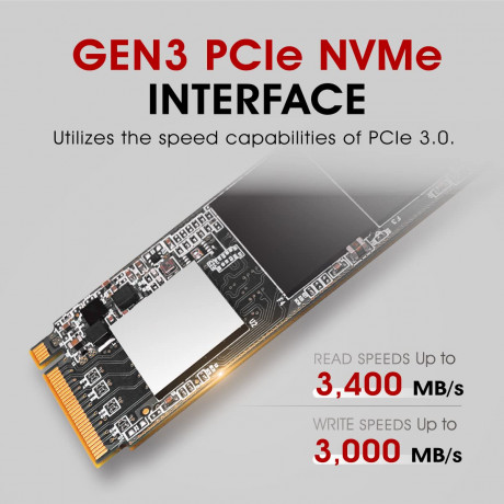 Silicon Power P34A60 256B M.2 NVMe Internal SSD